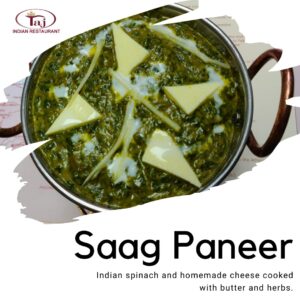 Saag Paneer (Main)